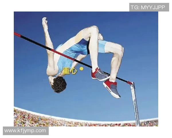 体育运动员的基本信息成就与职业生涯全解析